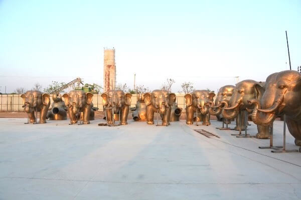 Installation of Elephants to Start in 2 Days