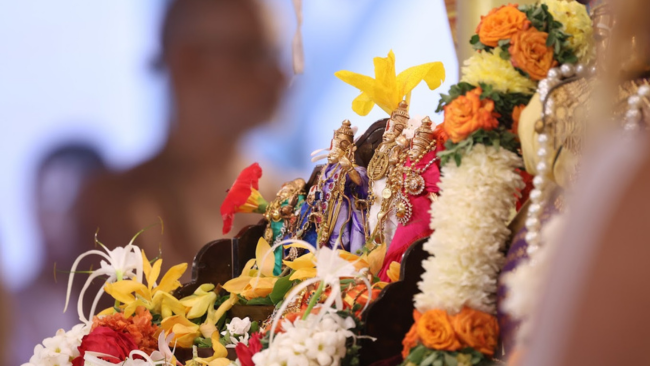 Samatha Kumbh 2026 Day 8 feb 6