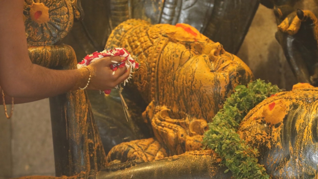 Statue of Equality – Arjitha Sevas (17-09-2026)
